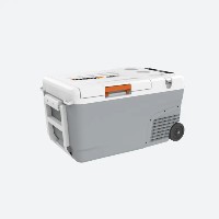 (WX876L) 20V ELECTRIC & BATTERY POWERED COOLER
