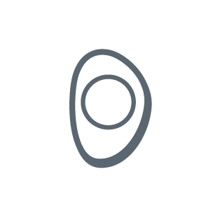 Motorization/App Support