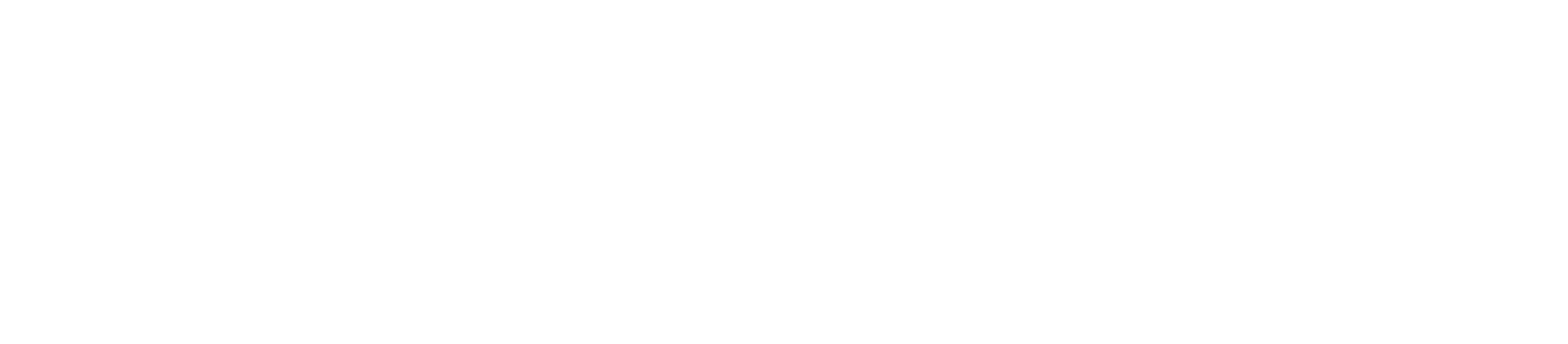 Amina Smart Charging Guide